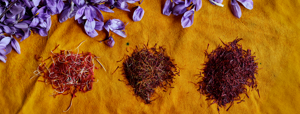 Kashmiri Saffron vs. Regular Saffron: What's the Difference?
