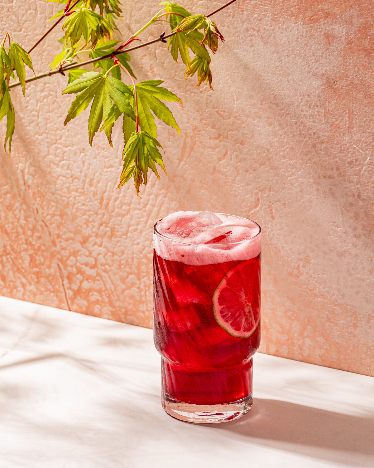 Asha's Agua de Jamaica