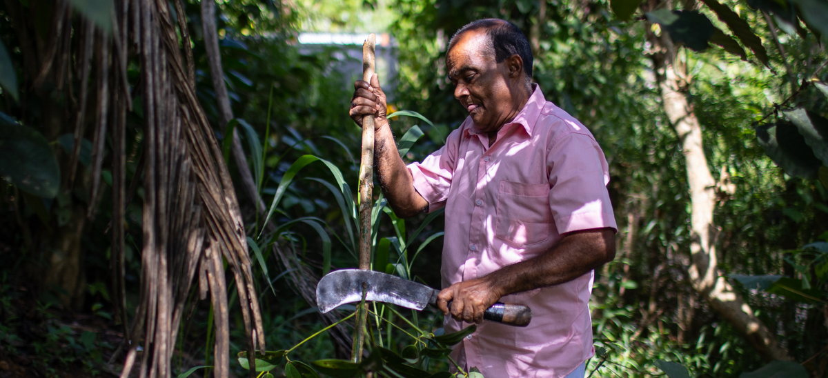 Notes from the Field #3: It Takes a Village… to make Cinnamon