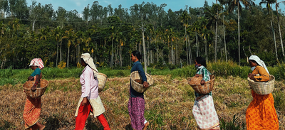 Introducing the Farm Worker Fund!