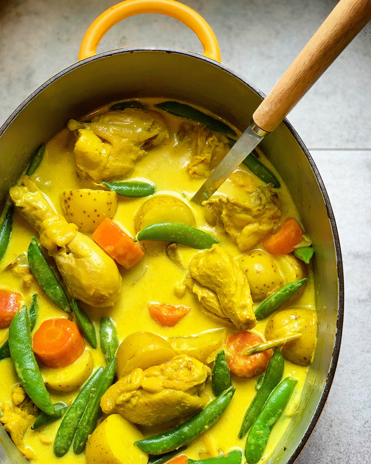 Asha's Kerala Chicken Stew