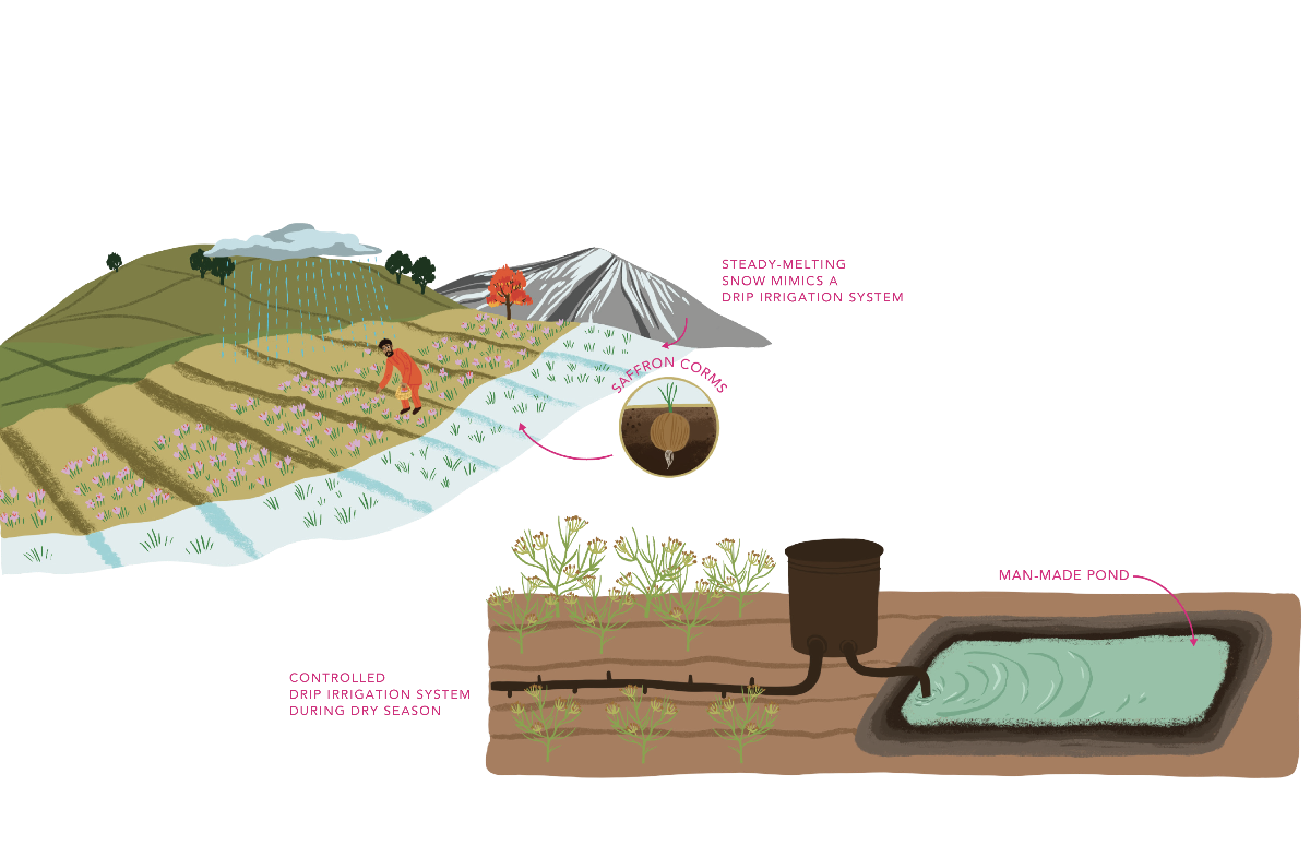 Sustainable Irrigation