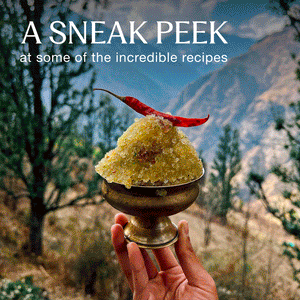 The Cookbook + Spice Trio Bundle