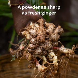 Basiya Ginger