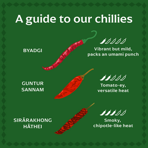 Byadgi Chilli