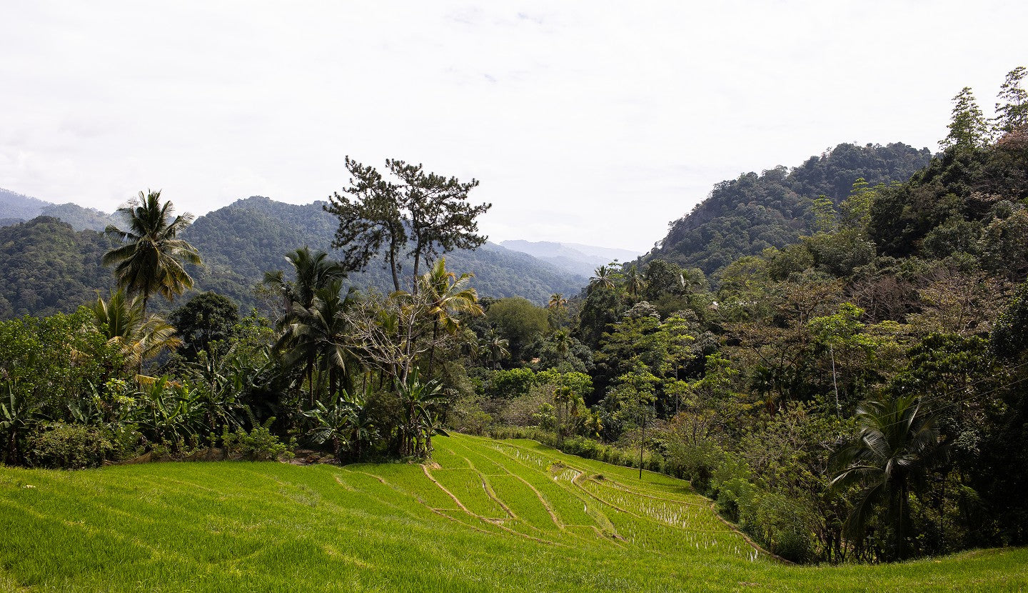 Growing with the Earth