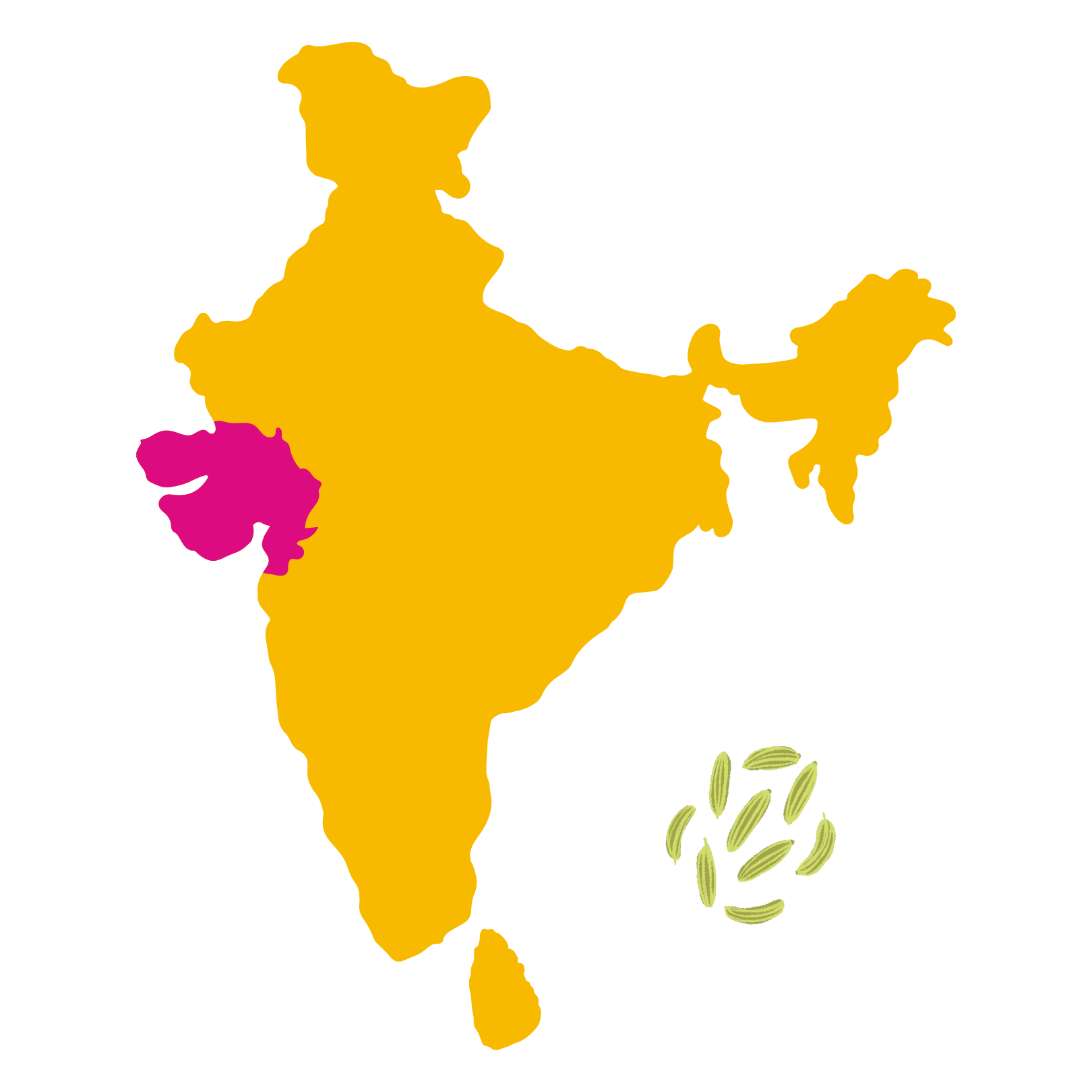 Grown in <br> Shedubhar, Gujarat