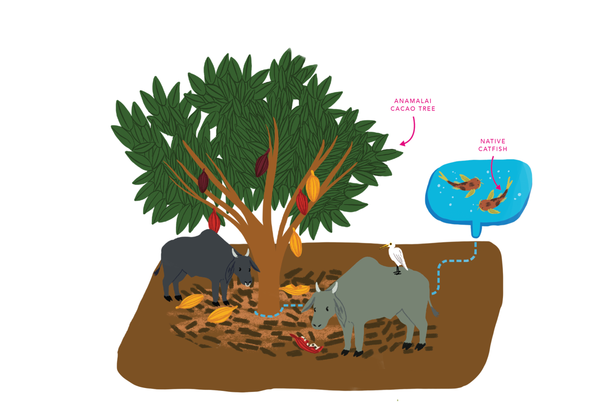 Mulching