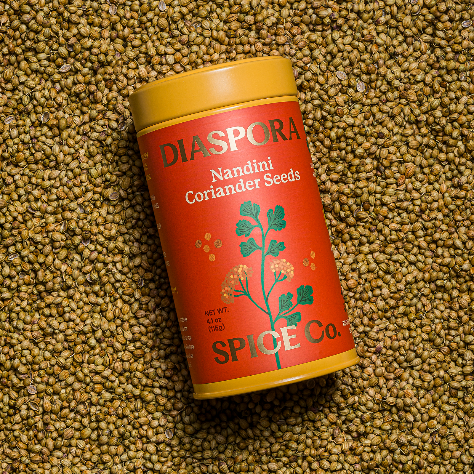 Nandini Coriander