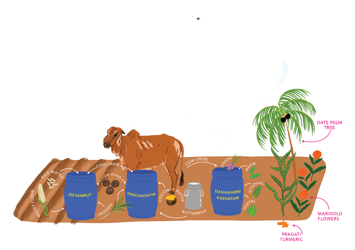 Nature-based Solutions