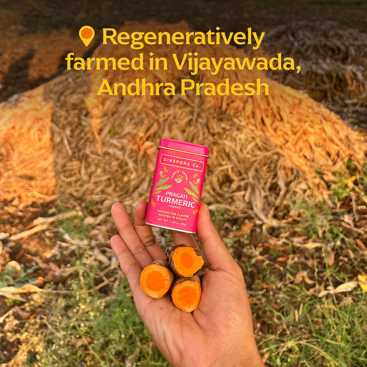 Pragati Turmeric (New Weight)